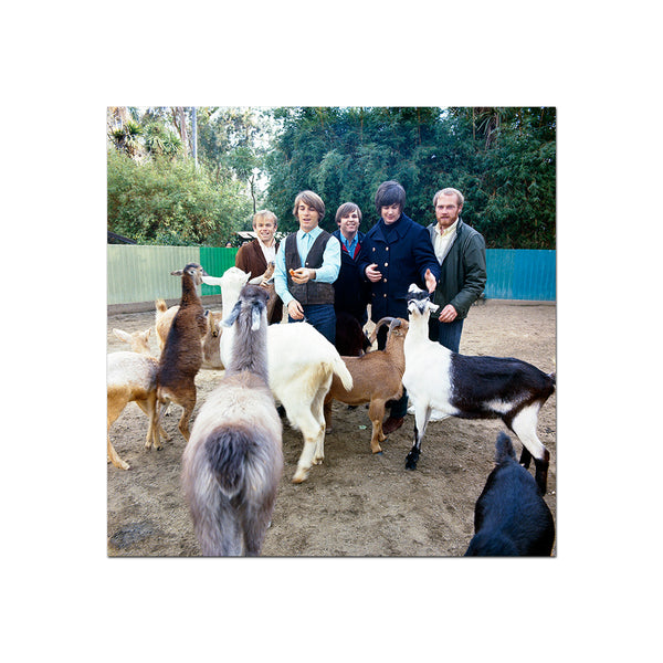 Pet Sounds with the Goats - Limited Release Giclee Print