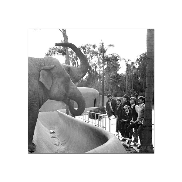 Pet Sounds - All The Beach Boys Meeting The Elephants